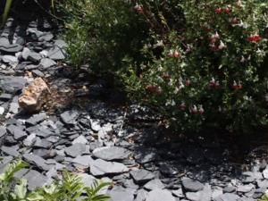 offerta stone gravel decorazione pietra nera ardesia per giardino aiuole prezzo pietrarredo milano giapponese slate crespi bonsai parabiago