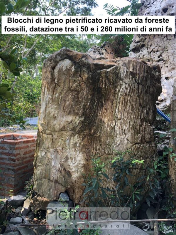 Blocchi di legno fossile pietrarredo prezzo foreste fossili