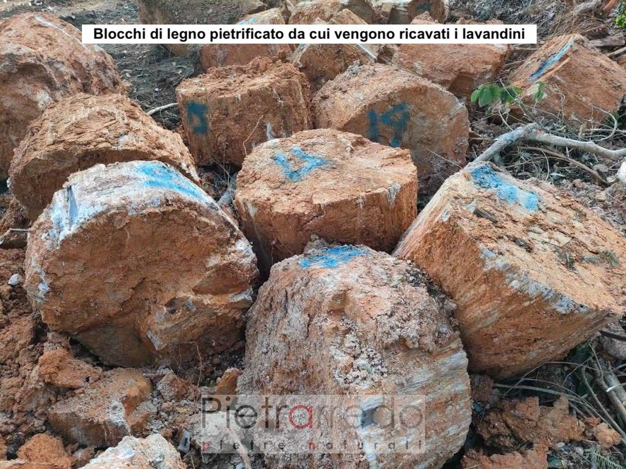 blocchi di foreste fossili pietrified stone wood prezzo pietrarredo