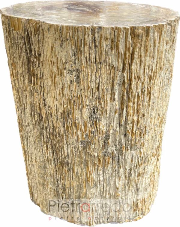 legno foossile pietrificato offerte prezzi pietrarredo parabiago milano