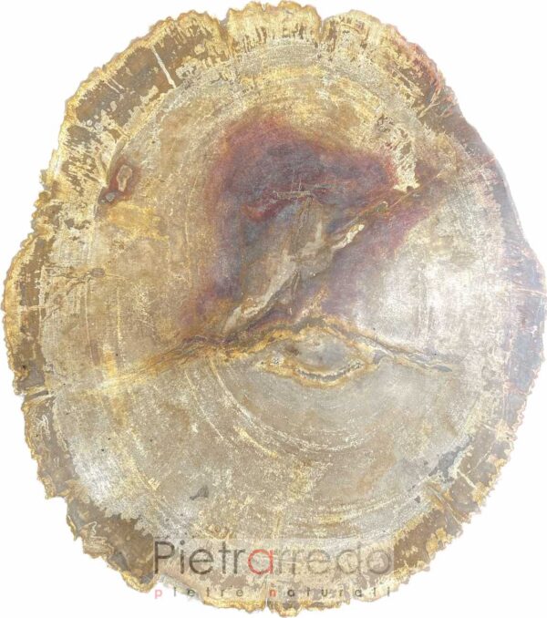 offerta legno pietrificato fossile prezzo pietrarredo milano italy stone