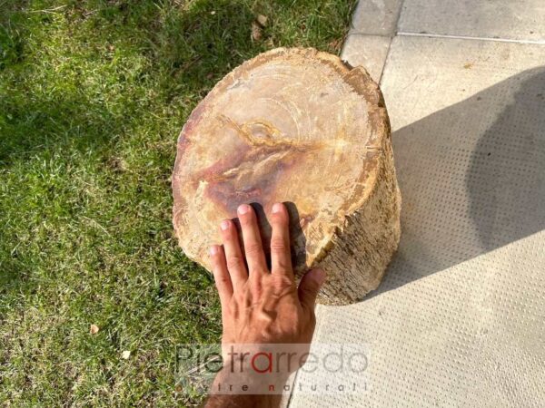sgabello piedistallo in legno fossile pietrificato marmo pietrarredo prezzo milano italy offerte