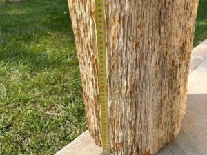 tabouret piédestal en bois fossile pétrifié prix marbre Pietrarredo milan italie